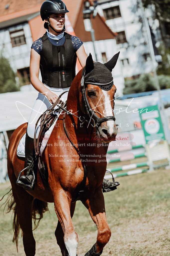 DSC_9690 | Pferde- und Turnierfotografie in Westsachsen. Pferdeportraits, Auftragszeichnungen und intuitive Kunst.