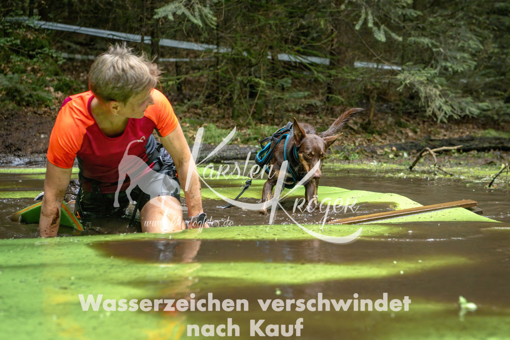 1539_ZZ91684-Bearbeitet | kk-dogfotos