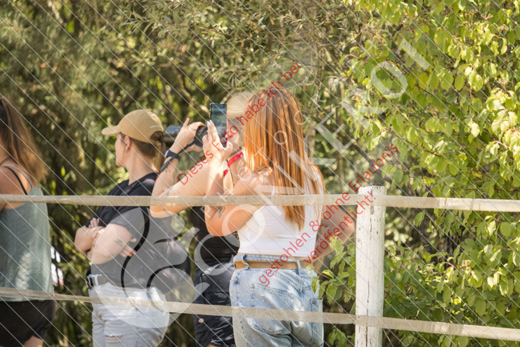 IMG_0036 | Sport-, Event- und Tierfotos in Profiqualität. Einfach auswählen, bestellen und herunterladen. Dein Moment – perfekt festgehalten.