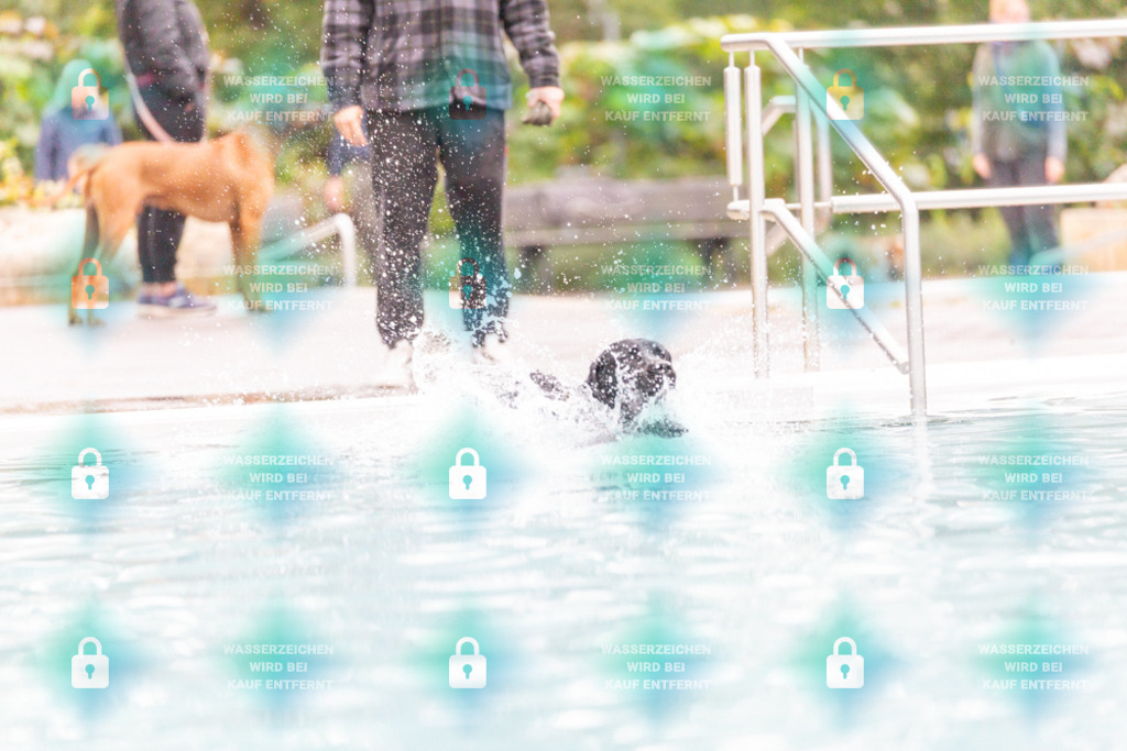 _HP_7327_1000o | HetPix, HetPix Fotodesign, Fotografie, Fotodesign, Webshop, Sportfotografie, Portraitfotografie, Onlineshop, Sportfotografie, Polch, Motorsportfotografie, Eventfotografie