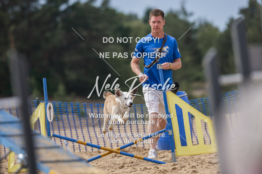 nelerasche_BuHu2026_So1530-Ende_43 | nelerasche