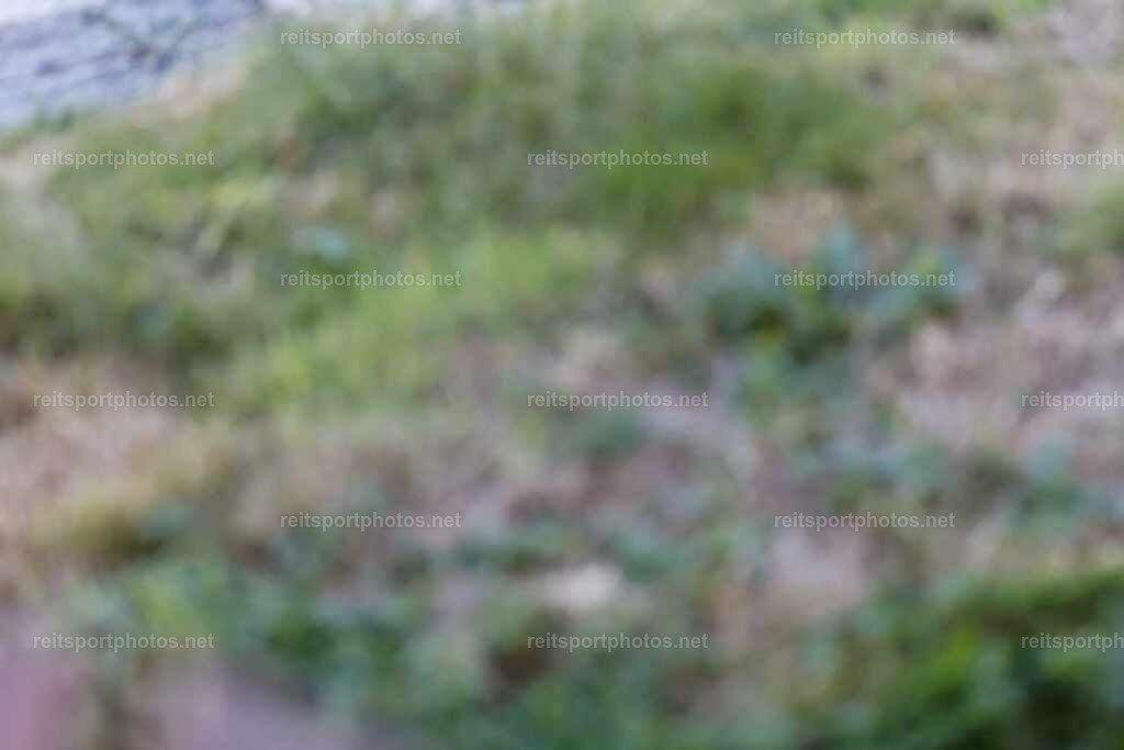 JoYa1_02601 | JoYa Fotografie - Realisiert mit Pictrs.com