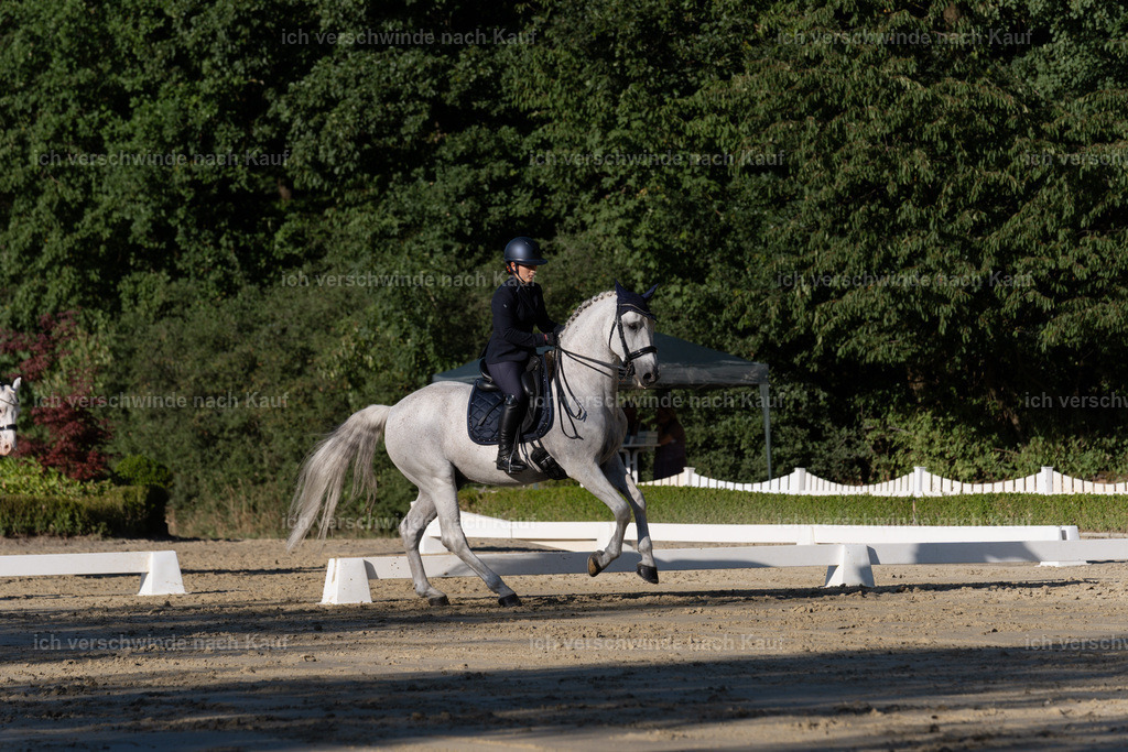 WM_DR_143_sinafilmart_IN04595 | working equitationturnier fotograf videograf stoibphotography marixx film working equitation deutschland reitsport turnierfotografie eventfotografie equestrian events