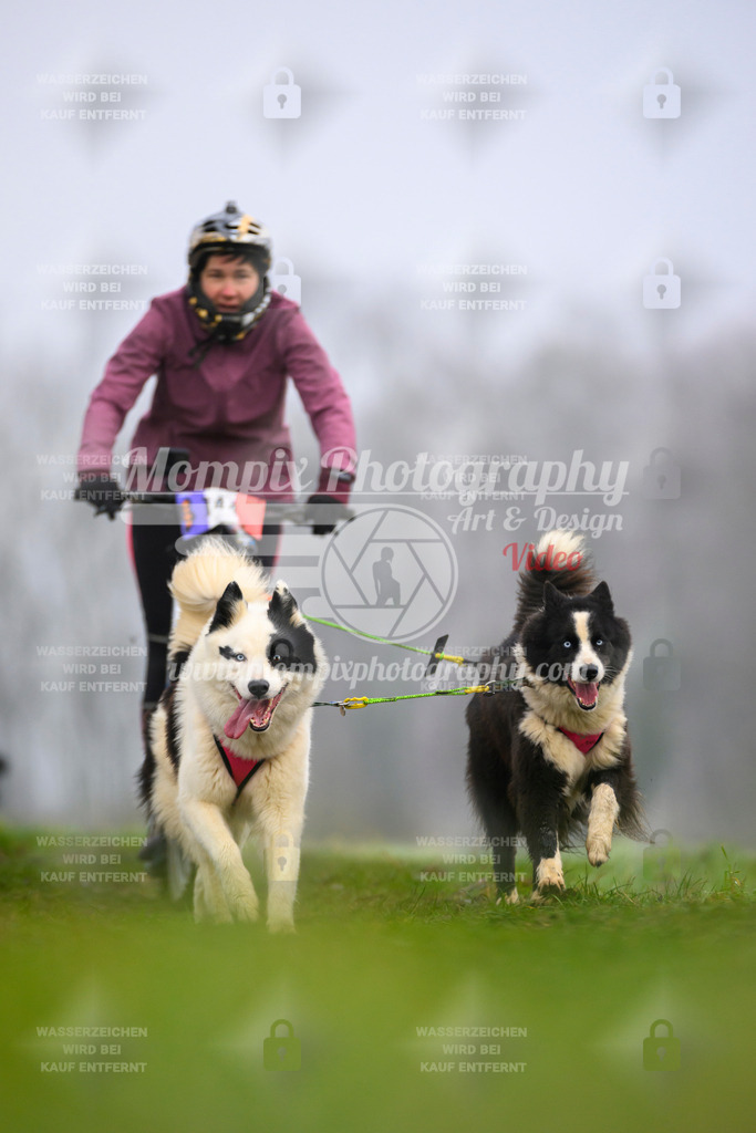MompixPhotography_CDF2023_FFST_Di_DS2-75 | PayLife