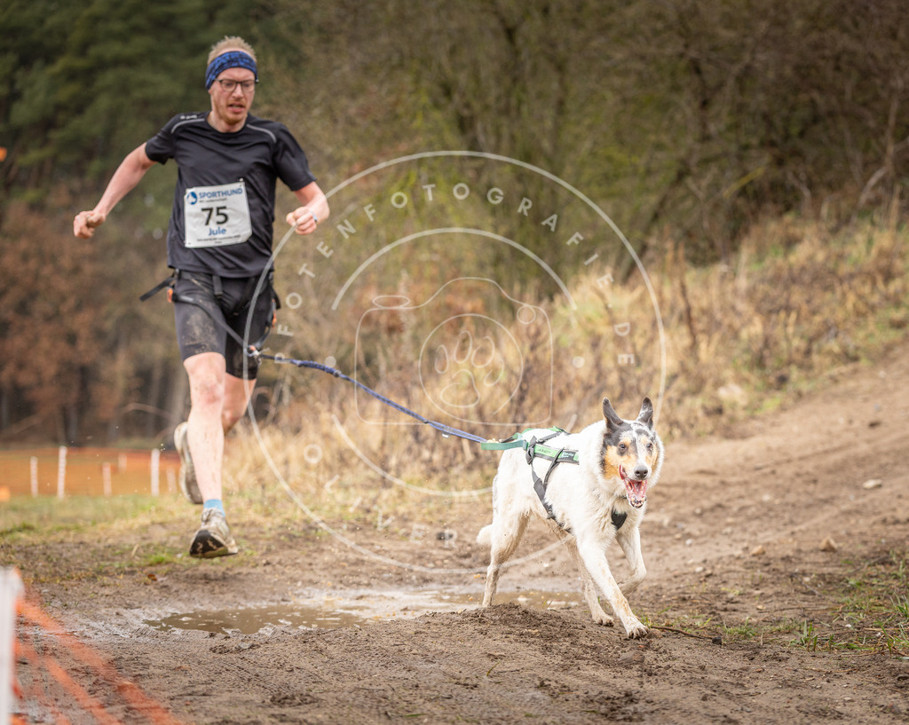 DV3A0265 | Hundefotografie, Tierfotograf, Pfotenfotografie, Fotoshooting Hund, Hunde Portrait, Hundesport, Hundeportraits, Heideshooting, Hunde, Sportfotograf, Hundefotograf, Turnierhundsport, THS,  - Realisiert mit Pictrs.com