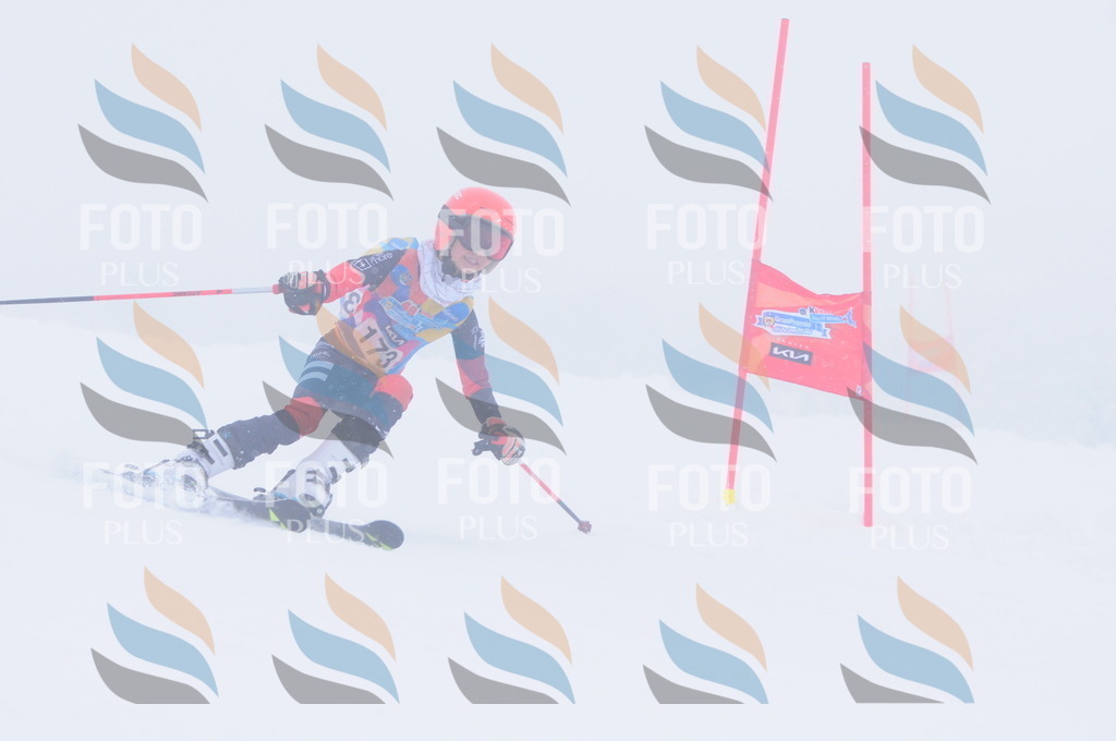 C2015 | holidayphoto