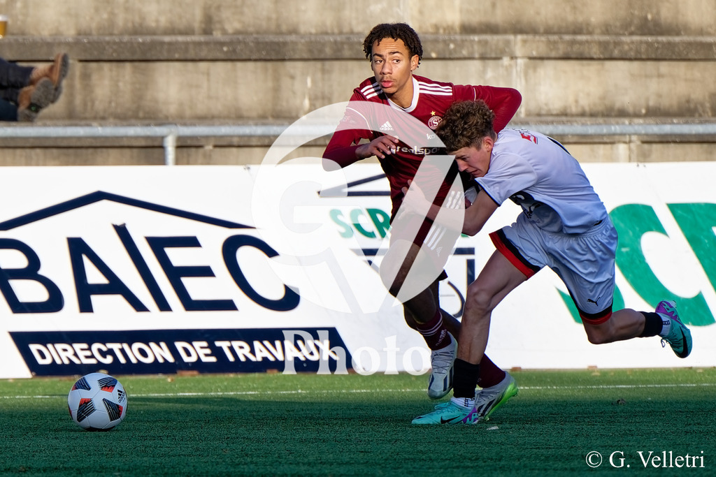 DSC_2987 | Velletri Photo