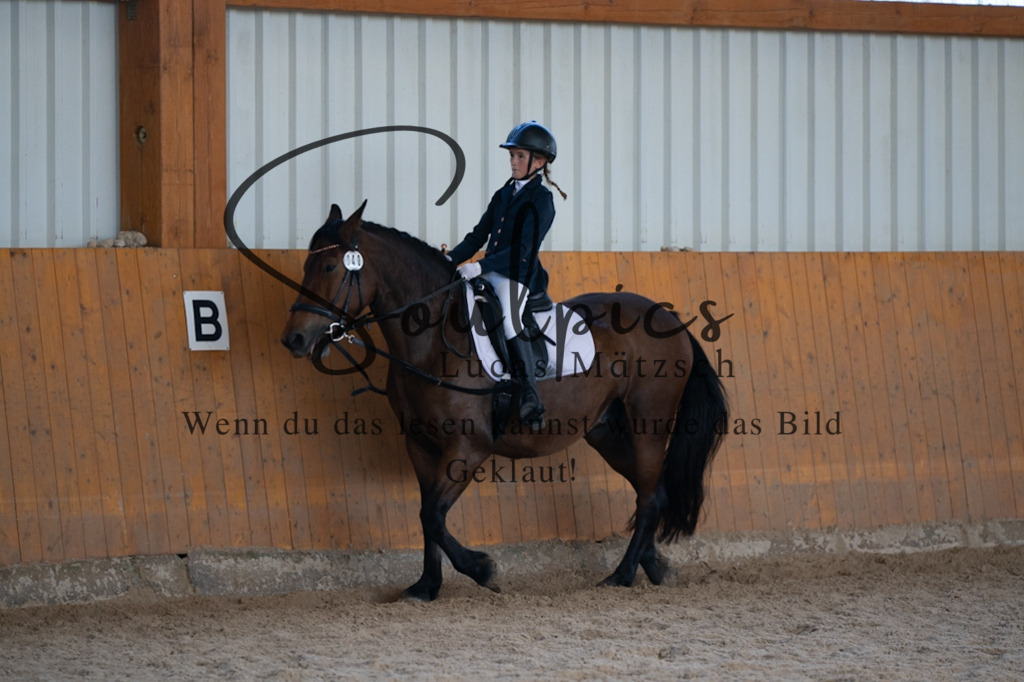 A7V02136 | Turnier/Reitfotograf