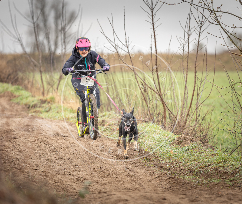 DV3A9312 | Hundefotografie, Tierfotograf, Pfotenfotografie, Fotoshooting Hund, Hunde Portrait, Hundesport, Hundeportraits, Heideshooting, Hunde, Sportfotograf, Hundefotograf, Turnierhundsport, THS,  - Realisiert mit Pictrs.com