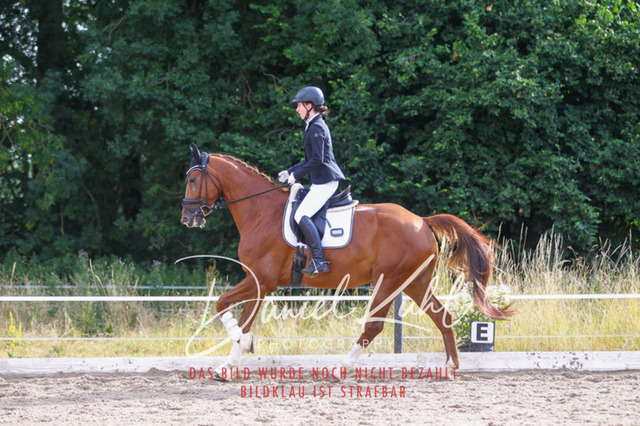 DKP45588 | Turniersportfotografie; Pferdefotografie; Dressurfotografie