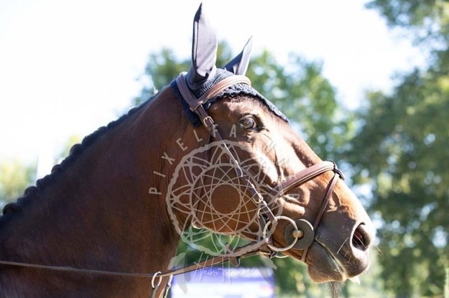 2B4A0189 | pixelfaenger - Realisiert mit Pictrs.com