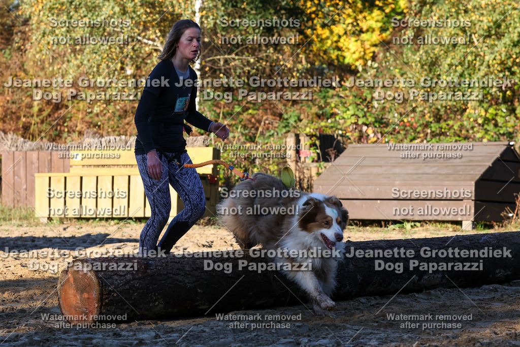 Dog Paparazzi - Strongdog 10-25-1029 | Dog Paparazzi Jeanette Grottendiek Fotografie & Videografie - Realisiert mit Pictrs.com