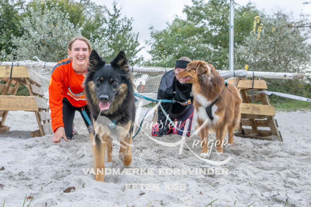 1123_ZZ96408 | kk-dogfotos