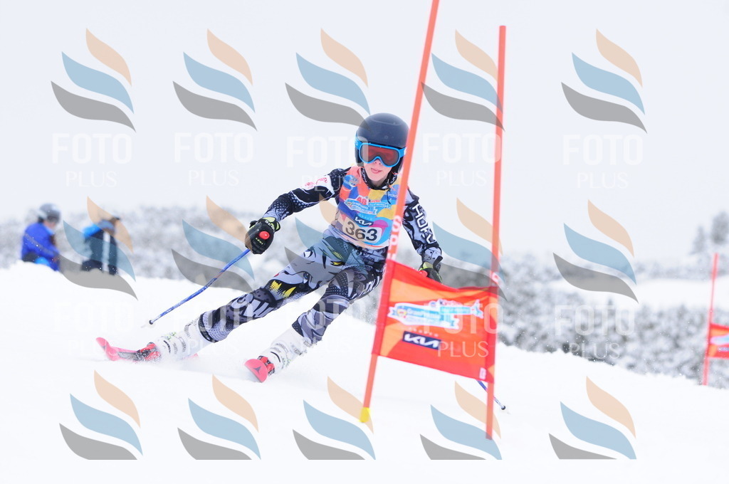 C3875 | holidayphoto