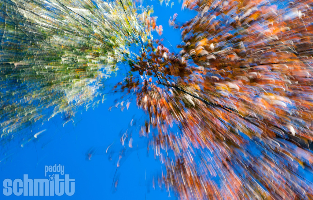 PS-Blur-2026-03 | Entdecke die größte Bildgalerie der Region mit Fotografien aus dem Allgäu, der Bodenseeregion, Oberschwaben, dem Donautal und der Schwäbischen Alb. Landschaften, Luftaufnahmen und Reisefotografie als Wandbild und Fotokunst. - Realisiert mit Pictrs.com