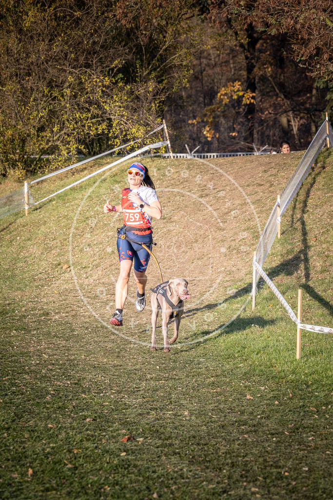 CaniXpix_0L8A9978 | Hundefotografie, Tierfotograf, Pfotenfotografie, Fotoshooting Hund, Hunde Portrait, Hundesport, Hundeportraits, Heideshooting, Hunde, Sportfotograf, Hundefotograf, Turnierhundsport, THS,  - Realisiert mit Pictrs.com