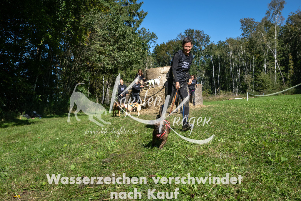 1246_ZZ92287-2 | kk-dogfotos
