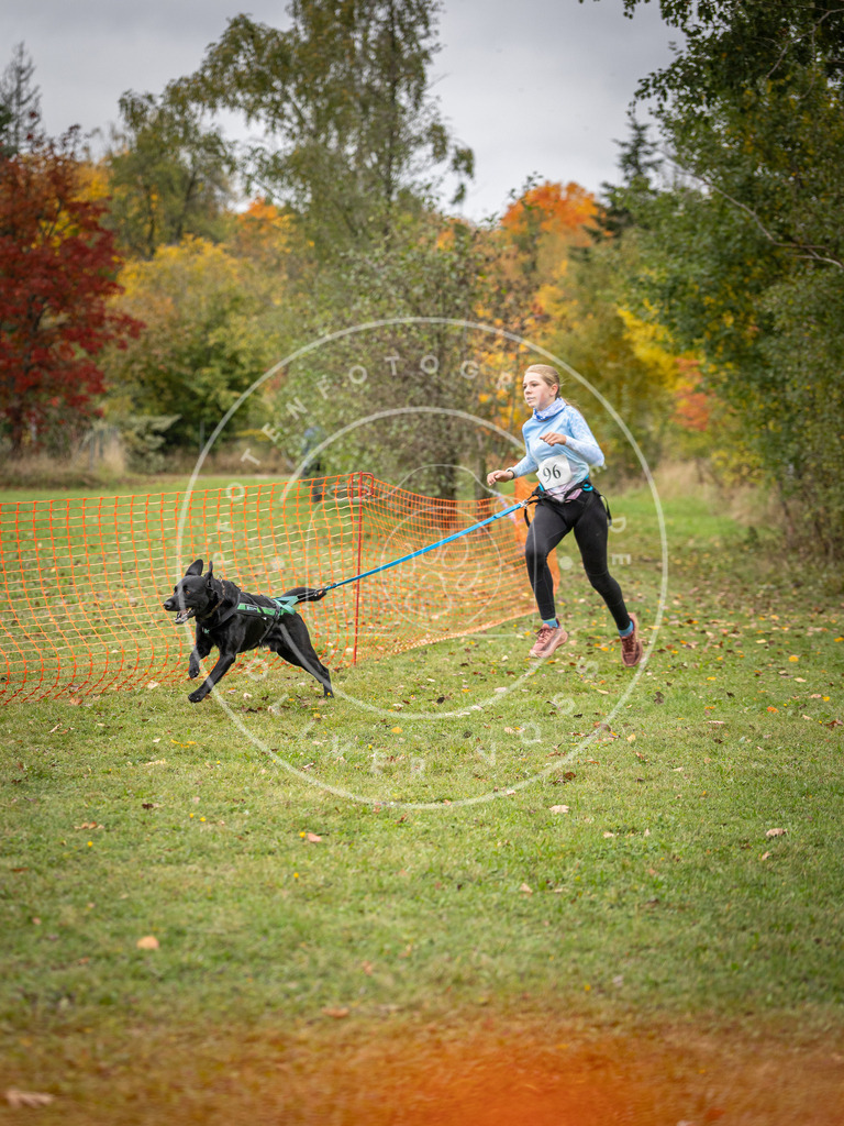 Pfotenfotografie_DV3A3372 | Hundefotografie, Tierfotograf, Pfotenfotografie, Fotoshooting Hund, Hunde Portrait, Hundesport, Hundeportraits, Heideshooting, Hunde, Sportfotograf, Hundefotograf, Turnierhundsport, THS,  - Realisiert mit Pictrs.com