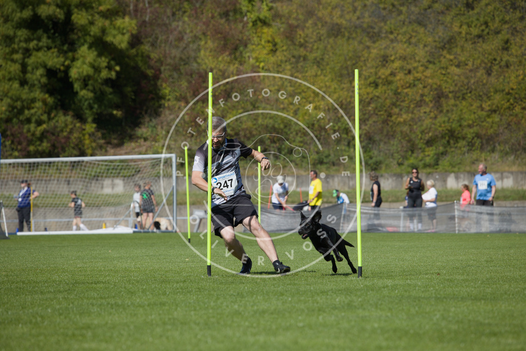 0L8A6245 | Hundefotografie, Tierfotograf, Pfotenfotografie, Fotoshooting Hund, Hunde Portrait, Hundesport, Hundeportraits, Heideshooting, Hunde, Sportfotograf, Hundefotograf, Turnierhundsport, THS,  - Realisiert mit Pictrs.com