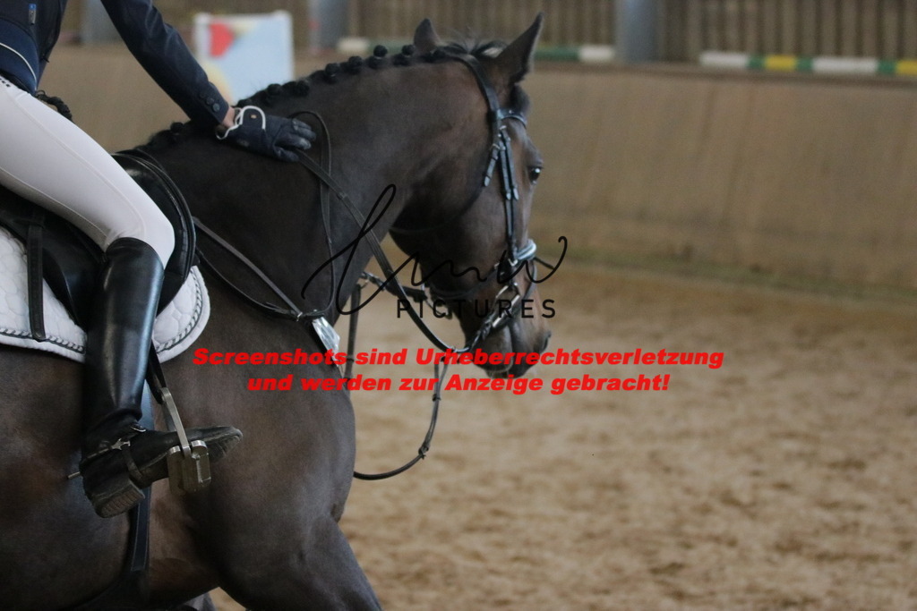 IMG_3375 | lmwpictures - Realisiert mit Pictrs.com