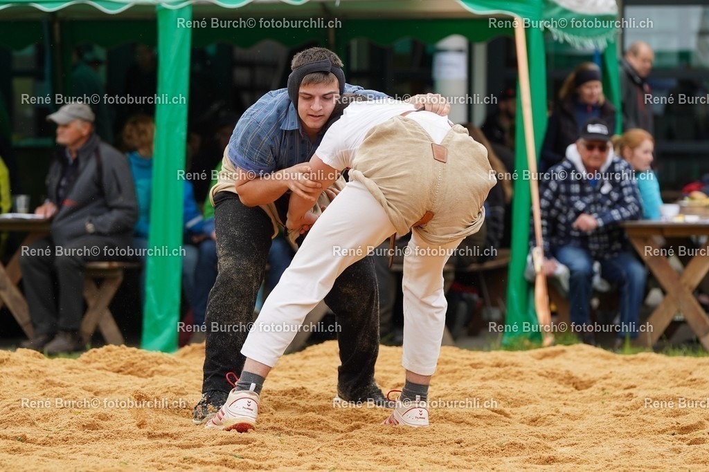 20220424-DSC00113 | René Burch leidenschaftlicher Fotograf aus Kerns in Obwalden.  Hier finden sie Sport, Landschaft und Natur Fotografie.
 - Realisiert mit Pictrs.com
