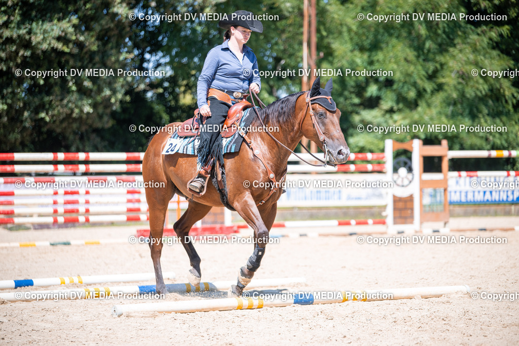 ZS1_1340 | dv-media-shop - Realisiert mit Pictrs.com