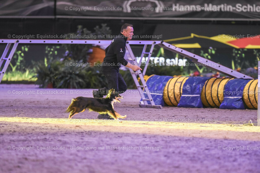 20231115_Dog-Agility_0191_TOMsPiC | Foto: Thomas Hartig