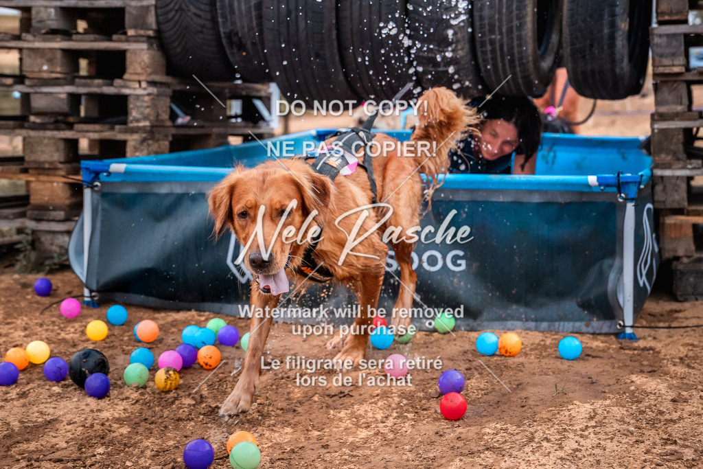 nelerasche_SummerNights26-Sa2000-2100_81 | nelerasche