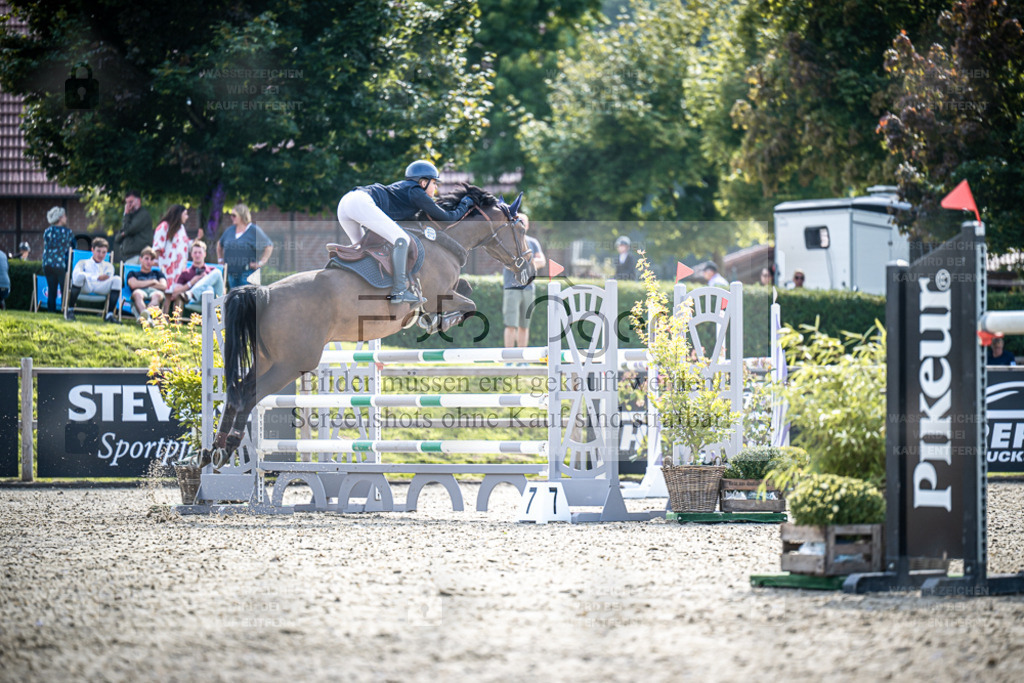DOS_0781 | Entdecke hochwertige Reitturnierfotos von Foto Oger. Professionell, emotional und authentisch – jetzt Lieblingsmomente im Shop bestellen. - Realisiert mit Pictrs.com