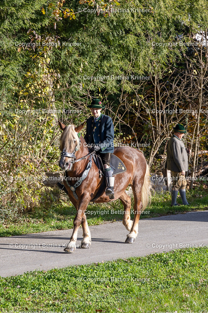 LBT24-17 | foto-bettina-krinner - Realisiert mit Pictrs.com