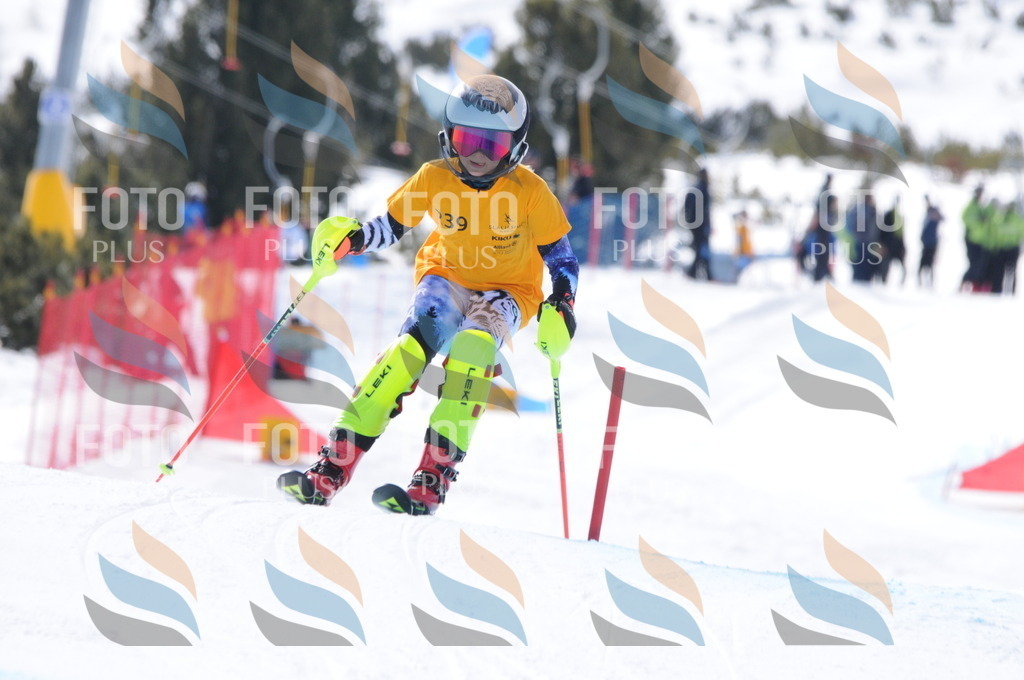 C8799 | holidayphoto