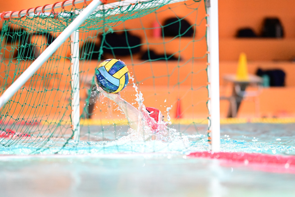 Wasserball I Herren I Saison 2023-2024 I Turnier I HTB62, SG Neukölln Berlin, SV Krefeld 72, SV Würzburg 05 | Der Sportfotograf. - Realisiert mit Pictrs.com