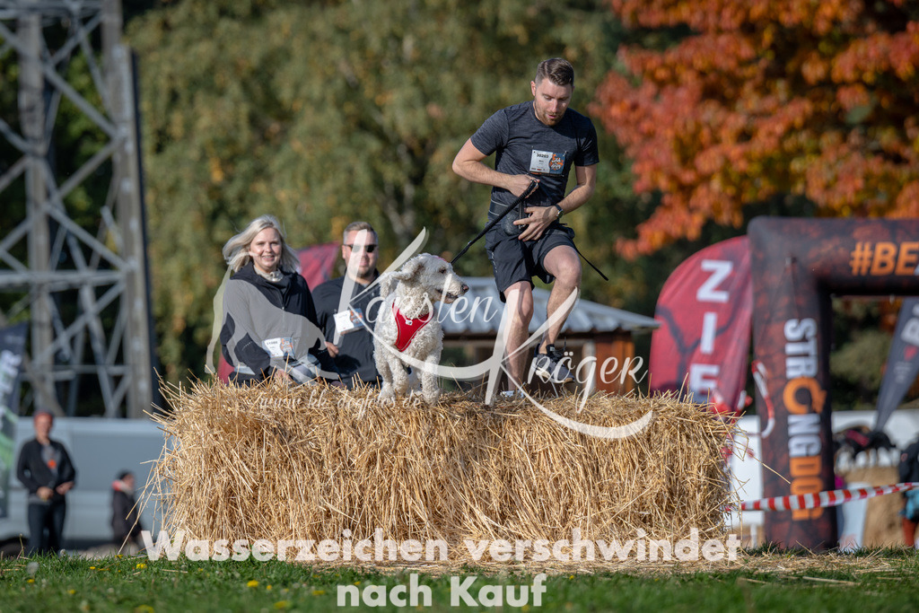 1033_ZZ90963 | kk-dogfotos