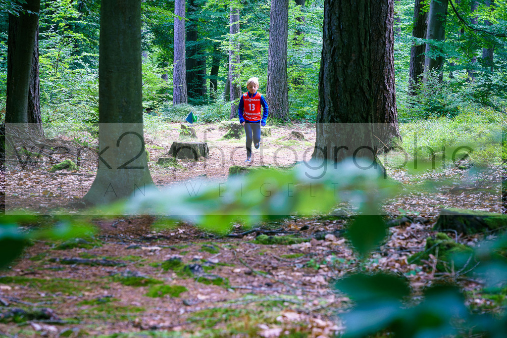 Rolf-Schumann-Gedächtnislauf | Frankenhain, 30.08.2025