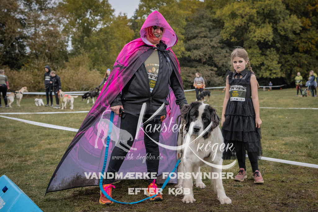1635_ZZ93928 | kk-dogfotos
