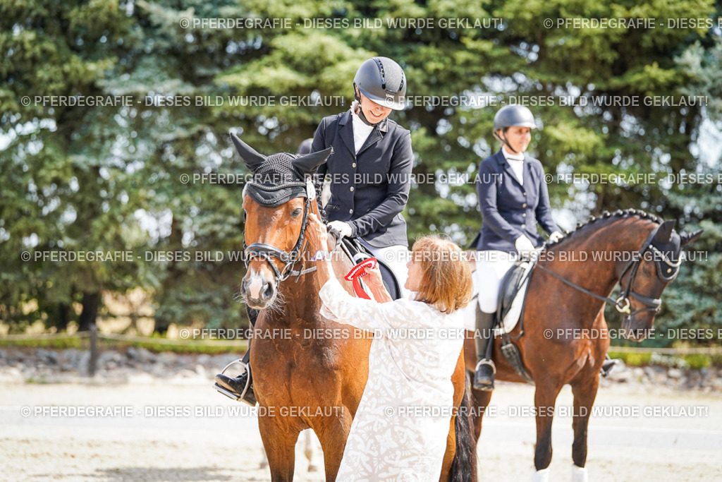 DSC02254 | Pferdegrafie