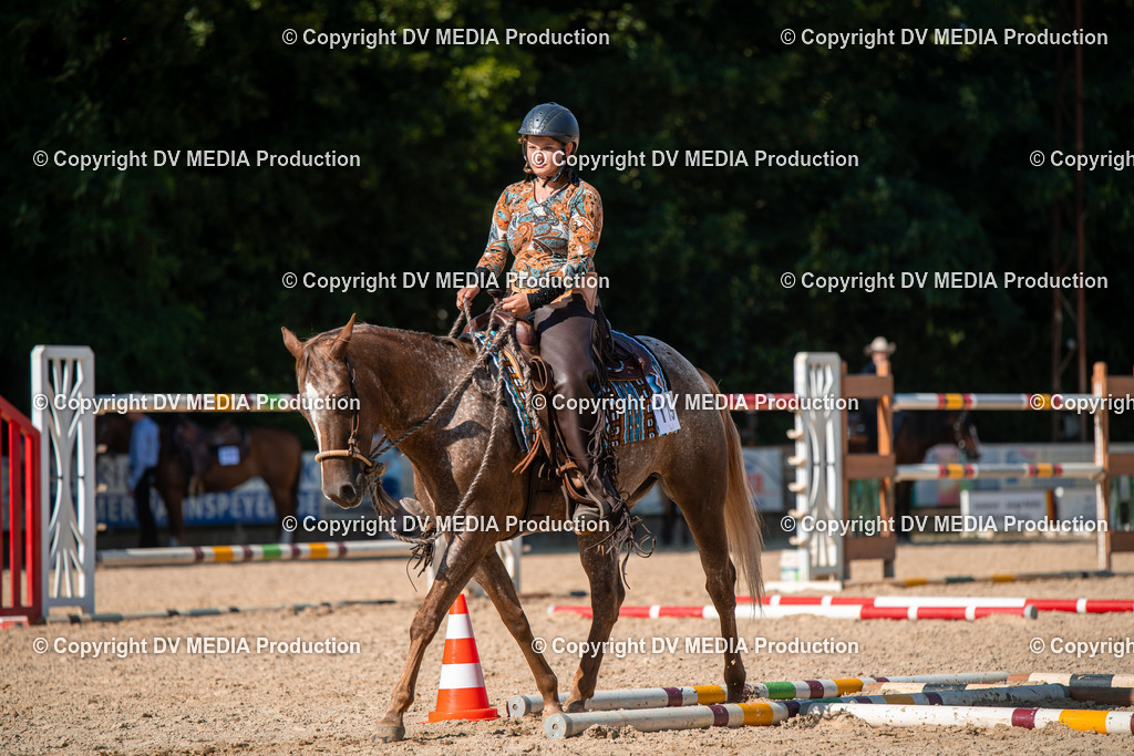 EWP_6983 | dv-media-shop - Realisiert mit Pictrs.com