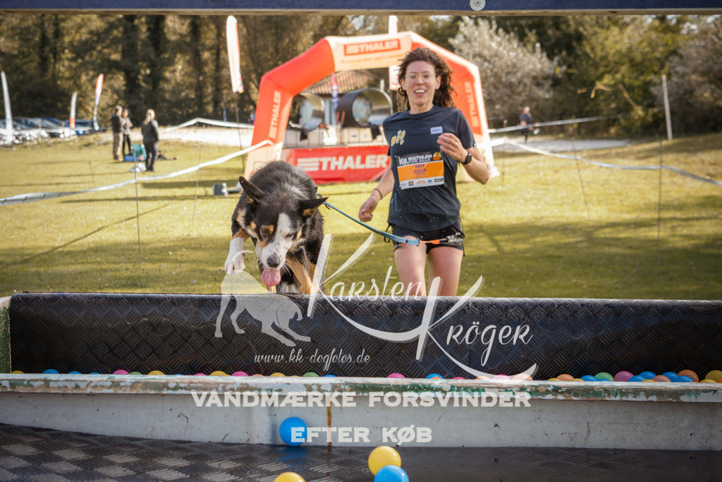 1300_ZZ98653-2 | kk-dogfotos