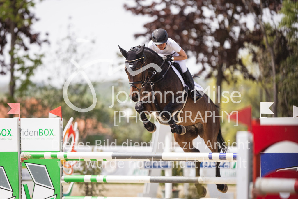 260502_Spenge_9_Youngster-M2-924 | Deine schönsten Turniermomente als professionelle Fotos! Entdecke hochwertige Pferdesport-Fotografie im Online-Shop. Jetzt Fotos finden & bestellen!