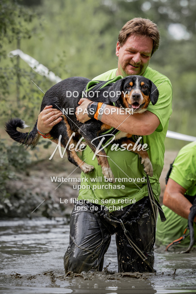 nelerasche_so0800-0930_153 | nelerasche