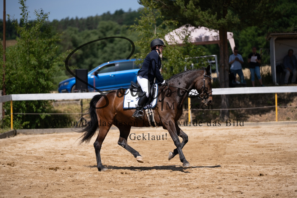 A7V08125 | Pferdefotograf