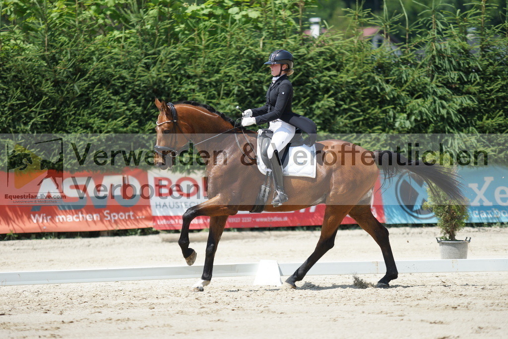 DSC05185 | equestrian-live-com