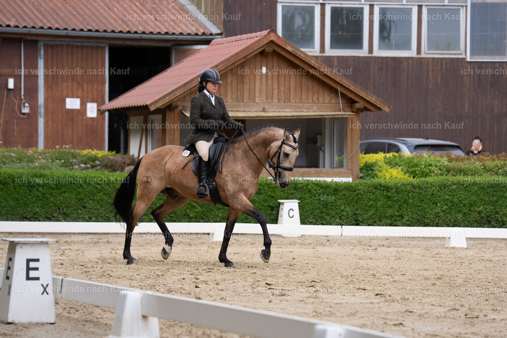 WS_DR_75_sinafilmart_IN00839 | working equitationturnier fotograf videograf stoibphotography marixx film working equitation deutschland reitsport turnierfotografie eventfotografie equestrian events