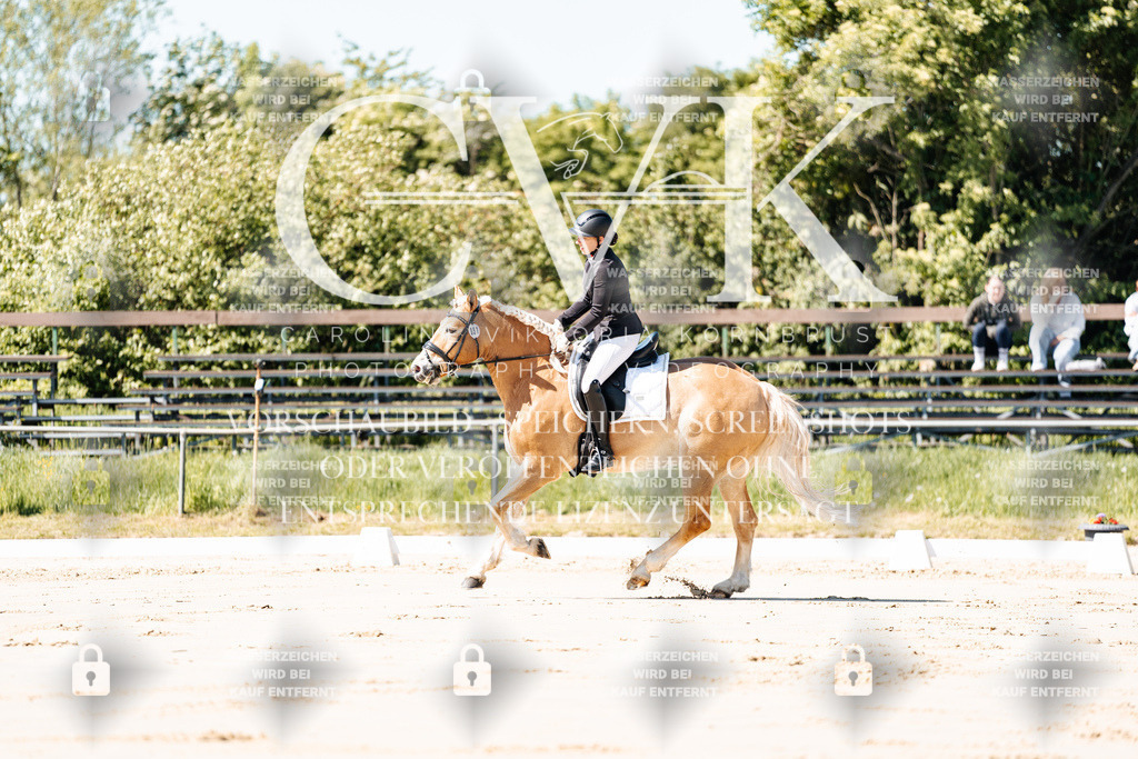 CK904943 | Turnierfotografie Pferdefotografie Trier Rheinland-Pfalz Pferdesport Reitsport Tierfotografie Sportfotografie Pferdevideo Pferdevideografie Equestrianvideography equestrianphotography  - Realisiert mit Pictrs.com