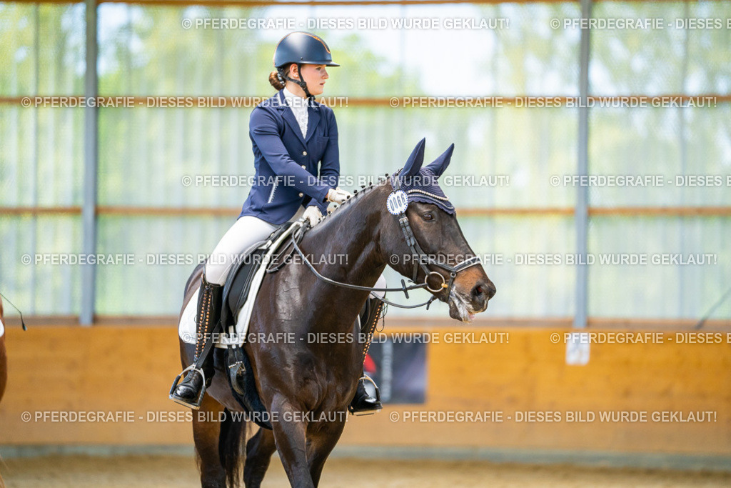 DSC08562 | Pferdegrafie