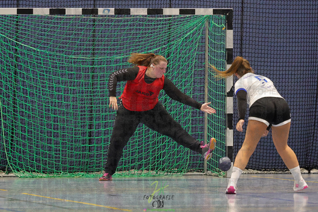 Frauen 2. Bezirksklasse, SG Rechtenbach - HSG Kleenheim/Langgöns III | Frauen 2. Bezirksklasse, SG Rechtenbach - HSG Kleenheim/Langgöns III am 16.11.2024 in Rechtenbach (Sporthalle Rechtenbach)Photo © 2024 - Jörg Heinrich - Realisiert mit Pictrs.com