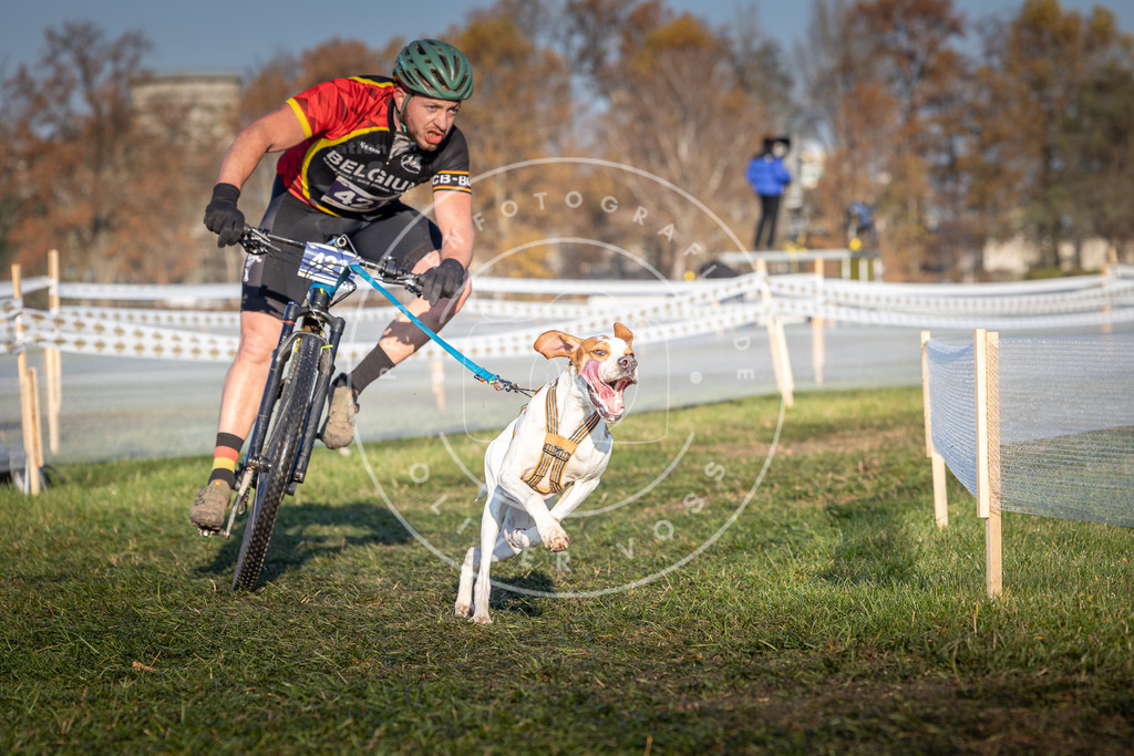 CaniXpix_0L8A4160 | Hundefotografie, Tierfotograf, Pfotenfotografie, Fotoshooting Hund, Hunde Portrait, Hundesport, Hundeportraits, Heideshooting, Hunde, Sportfotograf, Hundefotograf, Turnierhundsport, THS,  - Realisiert mit Pictrs.com