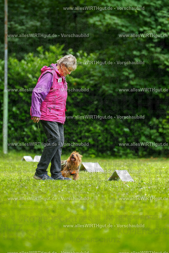 @allesWIRTHgut_Tierfotografie - www.allesWIRTHgut.de - 122111-7R508875 | Professionelle Tierfotografie in Mönchengladbach von Daniel Wirth (allesWIRTHgut). Liebevolle & natürliche Bilder von Hunden & Katzen für unvergessliche Erinnerungen.