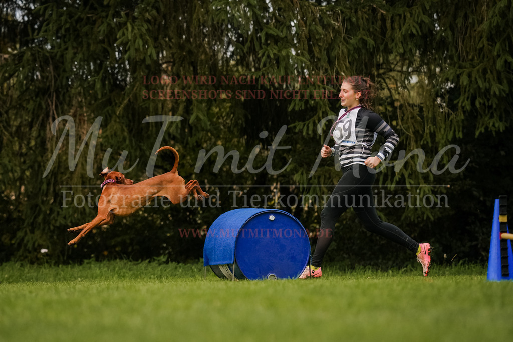 20251005_THS_Turnier-715 | MuT (Mensch und Tier) mit Mona - Fotografie und Tierkommunikation - Realisiert mit Pictrs.com