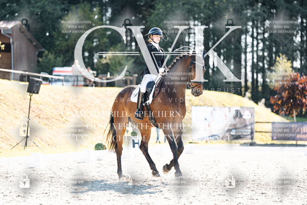 CK905717 | Turnierfotografie Pferdefotografie Trier Rheinland-Pfalz Pferdesport Reitsport Tierfotografie Sportfotografie Pferdevideo Pferdevideografie Equestrianvideography equestrianphotography  - Realisiert mit Pictrs.com